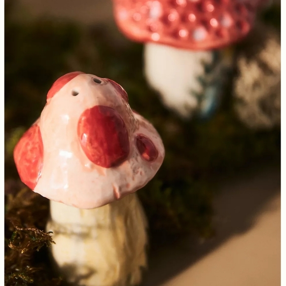Anthropologie x Nathalie Lete Mushroom Salt & Pepper shakers - autumn hues - Picture 5 of 14